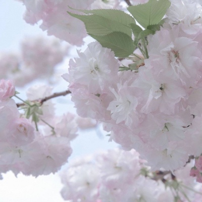 巴宜FurryQQ群介绍